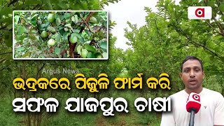 Farmer Becomes Successful By Cultivating Guava Farming In Bhadrak