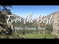 Even the Best - Angela Trupiano David - Lyric Video