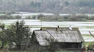 ЖЫВОЕ ПАЛЕССЕ. Вёска Чамярын (от 10.05.2016)