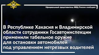 Ирина Волк: Полицейские применили оружие для остановки машин под управлением нетрезвых водителей