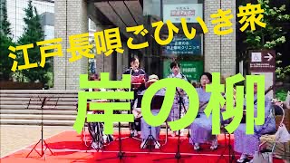 長唄三味線　街ライブ　岸の柳/Japanese musical instrument, Nagauta shamisen live on the street