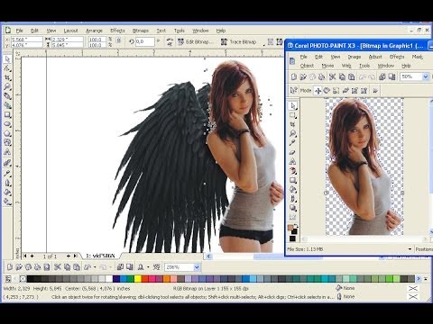 Belajar Edit Gambar Corel Draw - Rachel Johnston