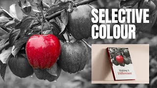 Mastering Photoshop: Advanced Color Selection Techniques for Stunning Effects