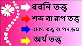 বাংলা ব্যাকরণের আলোচ্য বিষয় মনে রাখার সেরা কৌশল। ধবনি তত্ত্ব, শব্দ বা রূপ, বাক্য ও অর্থ তত্ত্ব।4k.V.