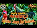 Suara Kokokan Menantang Ayam Hutan Jantan || Si Jantan Lainnya Ikut Berkokok..!!!