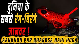 दुनिया के सबसे रंग बिरंगे जानवर 2021| Duniya ke Rang Birange janwar 2021| Most Colorful Animals 2021