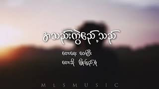 အသည်းကွဲ ဧည့်သည်