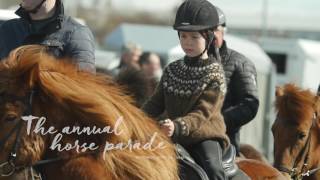 Horse Parade in Reykjavik 2016   - Horses of Iceland