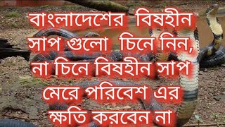 যে সাপ আপনাকে কামড় দিলে, আপনার  কিছুই হবে না, @বাংলাদেশের 10টি বিষহীন সাপ😲 #snakes #bangladesh