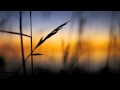 Synkro & Indigo - Guidance