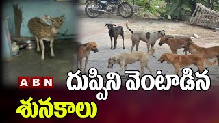 దుప్పిని వెంటాడిన శునకాలు || Deer Vs Street Dogs || NagarKurnool Dist || ABN Telugu