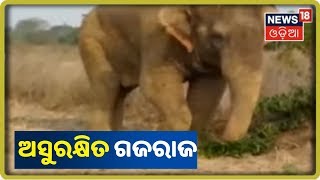 Khordha: ନଦୀ କୂଳରେ ଯନ୍ତ୍ରଣାରେ ଛଟପଟ ହେଉଛି ହାତୀ