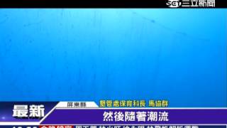 惡劣！船帆石賞魚群　驚見30米漁網｜三立新聞網