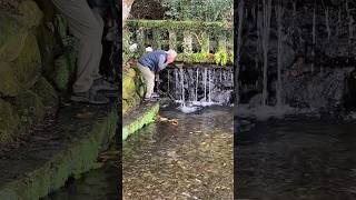 日本最古の上水道#熊本 #農家 #トマト #宇土 #shorts