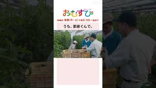 【#橋本環奈】#北村有起哉 うち、家継ぐんで NHK総合 毎週(月～土)午前8:00～ | #朝ドラおむすび | NHK | #shorts