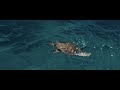 Zakynthos islands, sea and turtles! (S Travel) 4K