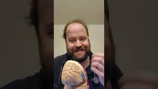 Irritability, Anger, and Aggression 3/4. (Medications)