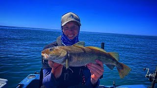 Sea Fishing With Lures For Cod and Cuckoo Wrasse On A Small Boat