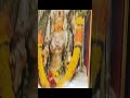 sri lalitha devi devalayam srikakulam devotional god lalithadevi