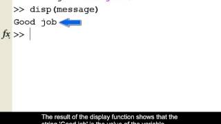 Using the disp command in MATLAB for displaying outputs.
