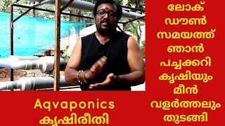 അക്വാപോണിക്സ് (Aquaponics)  പച്ചക്കറി കൃഷി ഞാനും ചെയ്തു തുടങ്ങി