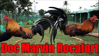 Lets Visit The Farm Of Doc Marvin Rocafort