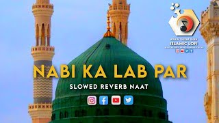 Nabi Ka Lab Par Jo Zikar Aya | Slowed Reverb | With Urdu Lyrics | #naats #islamic @ISLAMICLOFI78