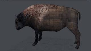 American Bison 3D Model Preview