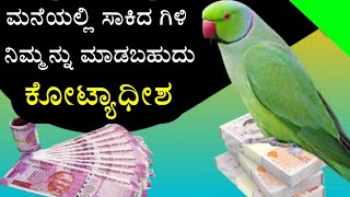 ಮನೆಯಲ್ಲಿ ಗಿಳಿ ಸಾಕಿದರೆ ಈ ಅದ್ಭುತ ಲಾಭಗಳು ಸಿಗುತ್ತವೆ - Parrot 🦜 benefits in kannada