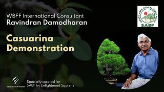 Casuarina Demonstration by WBFF International Consultant - Ravindran Damodharan