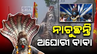 ଭସ୍ମ ଉଡୁଛି,ଅଘୋରୀ ବାବା ନାଚୁଛନ୍ତି ||ଶୈବ ତନ୍ତ୍ର ଅଘୋର ତାଣ୍ଡବ ନୃତ୍ୟ || ଢେଙ୍କାନାଳ ଗଜଲକ୍ଷ୍ମୀ ପୂଜା ଭସାଣି ||