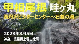 丹沢西端の県境尾根はバスの時間が心配 #甲相尾根 #畦ヶ丸山 #菰鶴山  #丹沢 #hiking