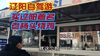 老雪花自驾游辽阳，爬龙鼎山，在回民街27元买只烧鸡回家喝小酒