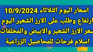 ارتفاع وطلب على الارز الشعير اليوم سعر الارز الشعير اليوم سعر الأرز الأبيض البوم الثلاثاء 10/9/2024