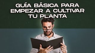 GUÍA BÁSICA para EMPEZAR a cultivar tus plantas