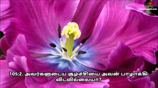 Tamil Quran - Sura 105 Al-Fil (ஸூரத்துல் ஃபீல்)