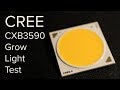 Cree CXB3590 test - Are CREE the best COB for grow lights? Cree CXB3590 test - Are CREE the best COB for grow lights?