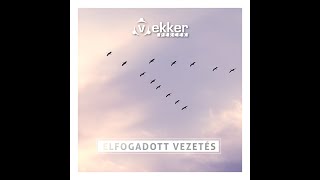 Elfogadott vezetés