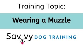 Training Topic: Muzzle Training