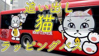 【JR九州バス】”追い出し猫”ラッピングバスがやって来た