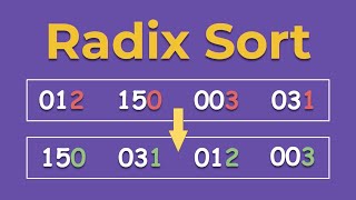 Radix Sort Algorithm: A Step-by-Step Visualization