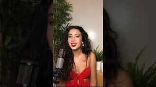 Señorita Cover in 4 Languages