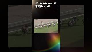 京成杯AH もちおの当たらない予想　#競馬　#競馬予想 #京成杯オータムハンデ