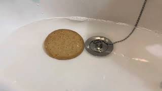 Timelapse of a biscuit in water