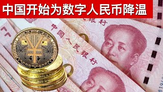 中国开始为数字人民币降温/强制统一必修课 国际学校大撤退(字幕)/王剑每日观察/20210420