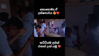 කොහොමද කොල්ලෝ ටික ගහන සිංදුව 😍❤️ #viral #music