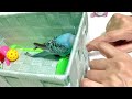 【セキセイインコ】お迎え23日目【おいたが過ぎました】