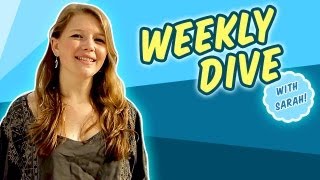 Weekly Dive: Gray Whale Encounter \u0026 To The Arctic