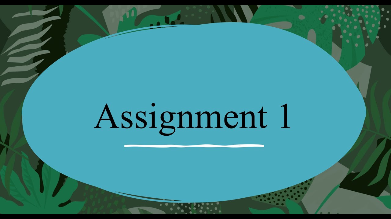 Assignment 1 Explanation Youtube