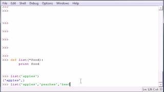 Python Programming Tutorial 29 Multiple Parameters video flv